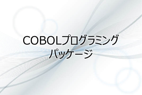 COBOLプログラミング　パッケージ 3ヶ月利用パック