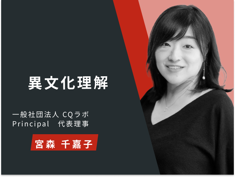 異文化理解 3ヶ月利用パック
