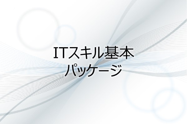 ITスキル基本　パッケージ 3ヶ月利用パック