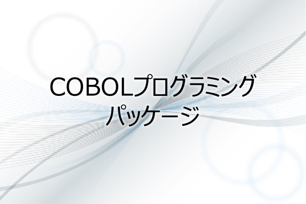 COBOLプログラミング　パッケージ 3ヶ月利用パック
