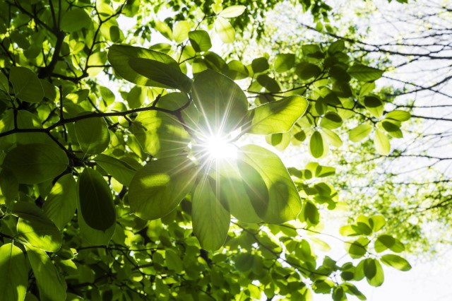 中小受託取引適正化法・対応講座　～下請法から取適法へ、実務変更のポイントを学ぶ～ 3ヶ月利用パック